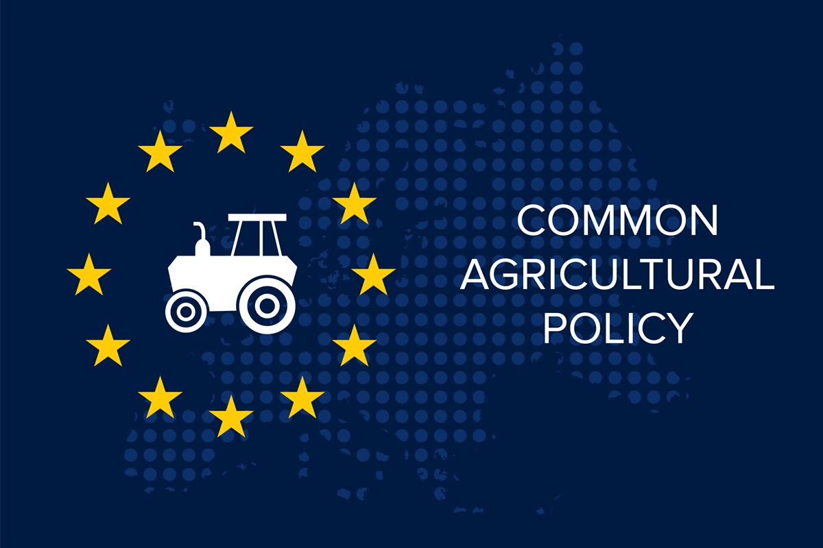 Consiglio Ue: al centro del dibattito Green Deal e Pac